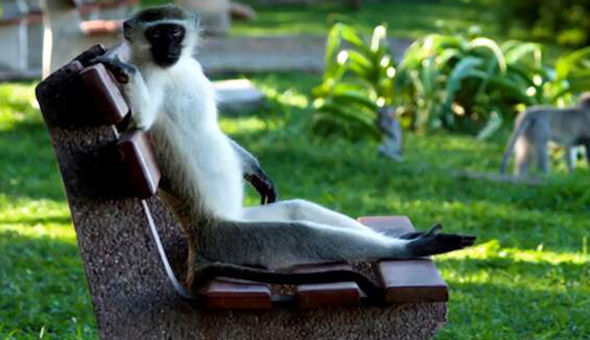 world-conference-on-computers-in-education-wcce2026-skukuza-bungalows-5